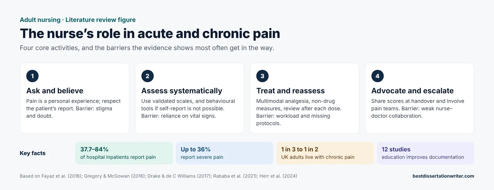 Acute and chronic pain literature review – adult nursing practice